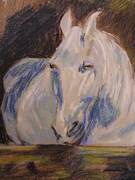 Horse2.jpg